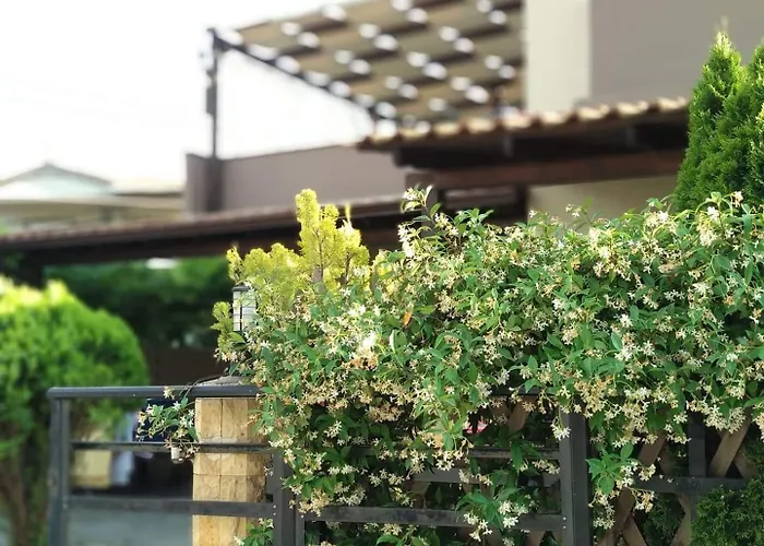 Pavlos Διαμέρισμα Χρυσή Αμμουδιά